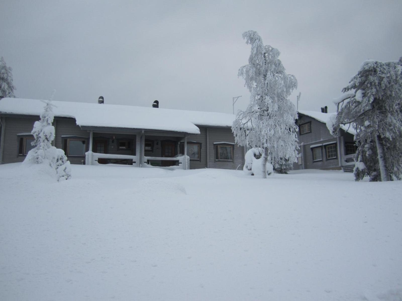 Huipunpuisto